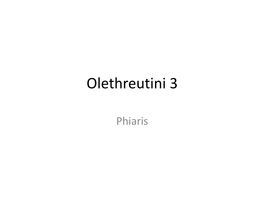 Olethreutini 3