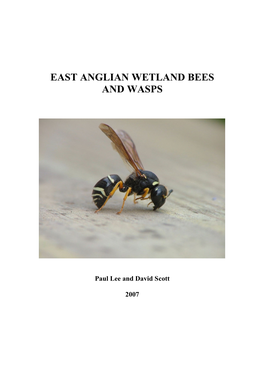 Aculeates of East Anglian Wetlands