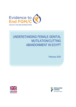 Understanding Female Genital Mutilation/Cutting Abandonment in Egypt