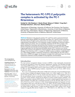 The Heteromeric PC-1/PC-2 Polycystin Complex Is Activated by the PC-1 N-Terminus