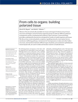 From Cells to Organs: Building Polarized Tissue