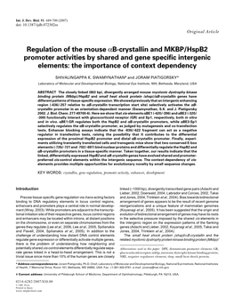 Regulation of the Mouse Αb-Crystallin and MKBP/Hspb2 Promoter Activities by Shared and Gene Specific Intergenic Elements: the Importance of Context Dependency