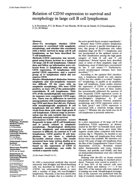 Relation of CD30 Expression to Survival and Morphology in Large Cell B Cell Lymphomas J Clin Pathol: First Published As 10.1136/Jcp.47.1.33 on 1 January 1994