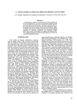 11. Trace Fossils in Deep Sea Drilling Project Leg 58 Cores A