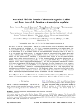 N-Terminal PDZ-Like Domain of Chromatin Organizer SATB1 Contributes Towards Its Function As Transcription Regulator