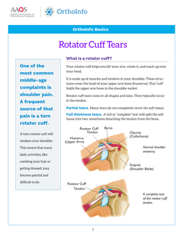 Rotator Cuff Tears