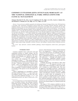 Common Cuttlefish (Sepia Officinalis) Mortality at the National Zoological Park: Implications for Clinical Management