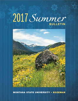 Summerbulletin