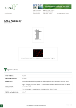 PAK5 Antibody Cat