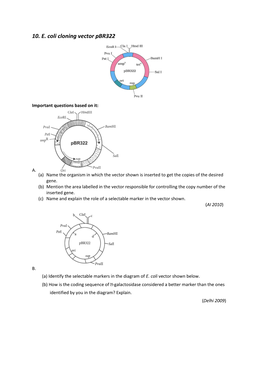 10. E. Coli Cloning Vector Pbr322