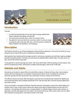 Northern-Gannet-En.Pdf