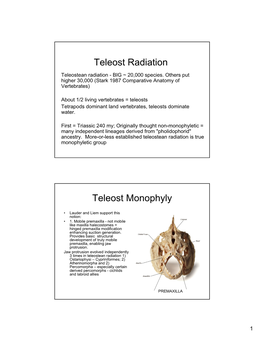 Teleost Radiation Teleost Monophyly