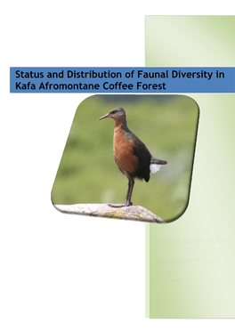 Status and Distribution of Faunal Diversity in Kafa Afromontane Coffee Forest