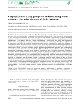 Caryophyllales: a Key Group for Understanding Wood