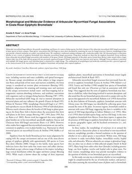 Morphological and Molecular Evidence of Arbuscular Mycorrhizal Fungal Associations in Costa Rican Epiphytic Bromeliads1