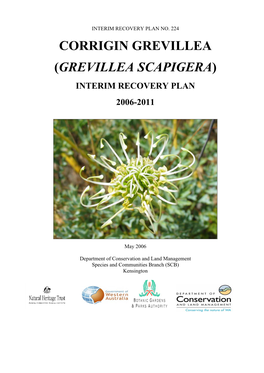 Grevillea Scapigera)