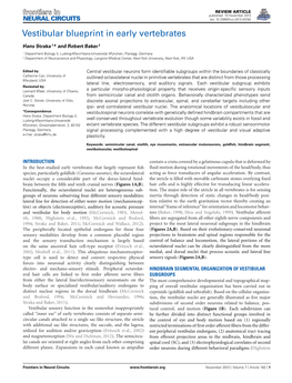 Vestibular Blueprint in Early Vertebrates