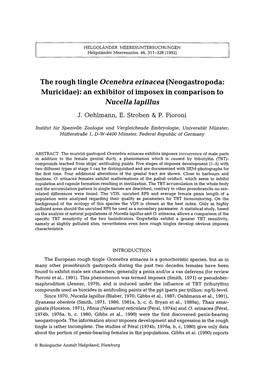 The Rough Tingle &lt;Emphasis Type="Italic"&gt;Ocenebra Erinacea