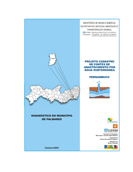 Diagnóstico Do Município De Palmares Pernambuco