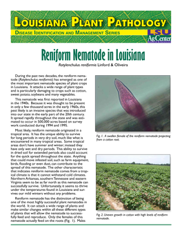 Reniform Nematode in Louisiana Rotylenchulus Reniformis Linford & Oliveira