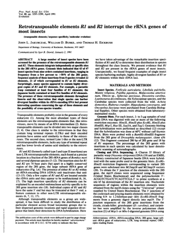 Retrotransposable Elements RI and R2 Interrupt the Rrna Genes of Most Insects (Transposable Elements/Sequence Specificity/Molecular Evolution) JOHN L