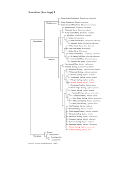 Sturnidae Tree, Part 1