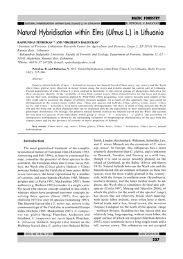 Natural Hybridisation Within Elms (Ulmus L.) in Lithuania R