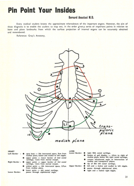 Pin Point Your Insides Bernard Anastasi M