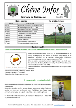 N ° 14 Chêne Infos Commune De Tortequesne Mars 2016