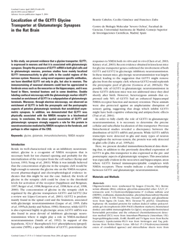 Localization of the GLYT1 Glycine Transporter at Glutamatergic Synapses in the Rat Brain