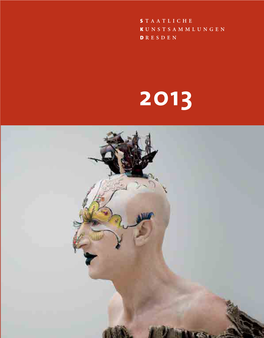 Jahresbericht Der SKD 2013
