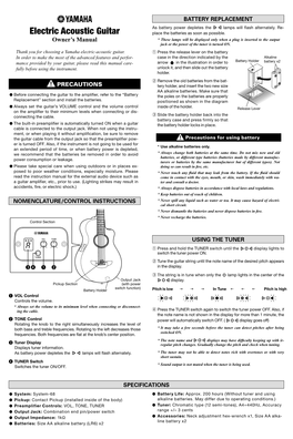 Electric Acoustic Guitar Guitar