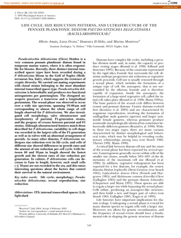 Life Cycle, Size Reduction Patterns, and Ultrastructure of the Pennate Planktonic Diatom Pseudo-Nitzschia Delicatissima (Bacillariophyceae)1