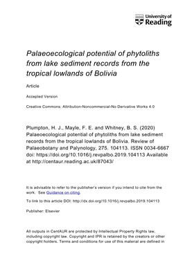 Palaeoecological Potential of Phytoliths from Lake Sediment Records from the Tropical Lowlands of Bolivia