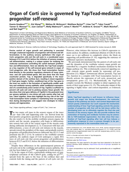 Organ of Corti Size Is Governed by Yap/Tead-Mediated Progenitor Self-Renewal