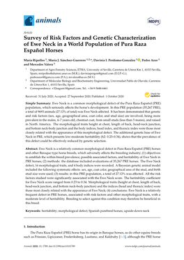 Survey of Risk Factors and Genetic Characterization of Ewe Neck in a World Population of Pura Raza Español Horses