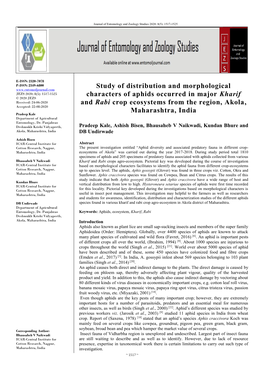 Study of Distribution and Morphological Characters of Aphids