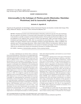 Intersexuality in the Holotype of Photina Gracilis (Mantodea: Mantidae: Photininae) and Its Taxonomic Implications