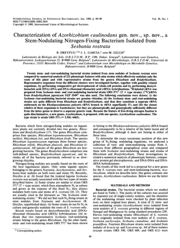 Stem-Nodulating Nitrogen-Fixing Bacterium Isolated from Sesbania Rostrata