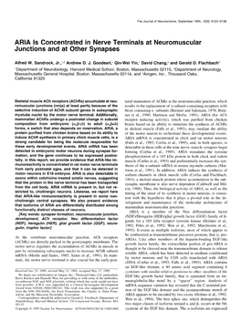 ARIA Is Concentrated in Nerve Terminals at Neuromuscular Junctions and at Other Synapses