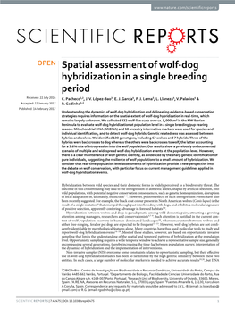 Spatial Assessment of Wolf-Dog Hybridization in a Single Breeding Period Received: 22 July 2016 C