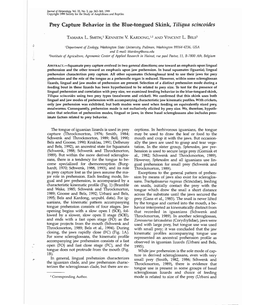 Prey Capture Behavior in the Blue-Tongued Skink, Tiliqua Scincoides