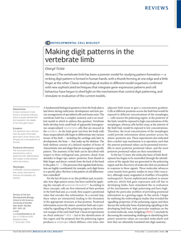 Making Digit Patterns in the Vertebrate Limb