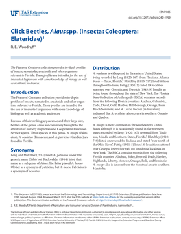 Click Beetles, Alausspp. (Insecta: Coleoptera: Elateridae)1 R