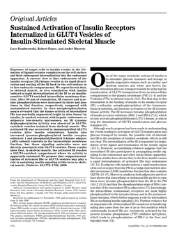 Original Articles Sustained Activation of Insulin Receptors Internalized in GLUT4 Vesicles of Insulin-Stimulated Skeletal Muscle