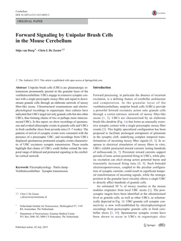 Forward Signaling by Unipolar Brush Cells in the Mouse Cerebellum