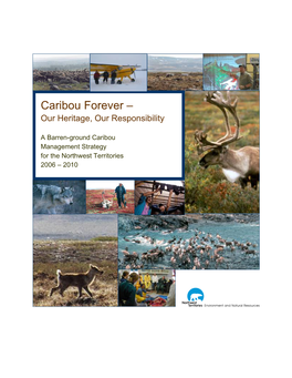 Caribou Forever –