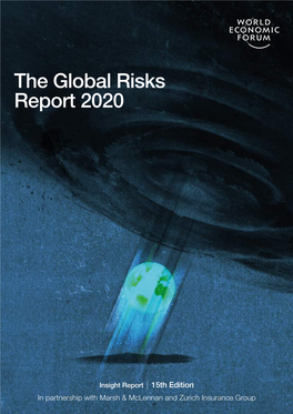 The Global Risks Report 2020