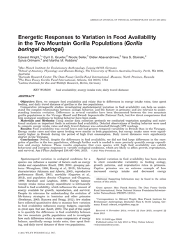 Energetic Responses to Variation in Food Availability in the Two Mountain Gorilla Populations (Gorilla Beringei Beringei)