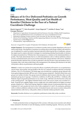 Efficacy of in Ovo Delivered Prebiotics on Growth Performance, Meat Quality and Gut Health of Kuroiler Chickens in the Face of A